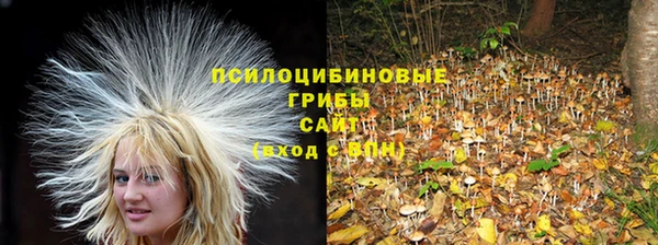 2c-b Белоозёрский