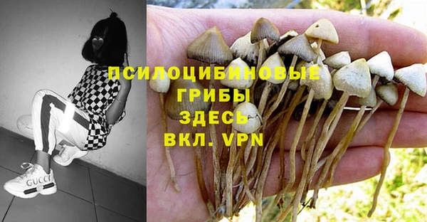 2c-b Белоозёрский