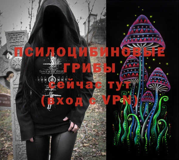 гашик Белокуриха