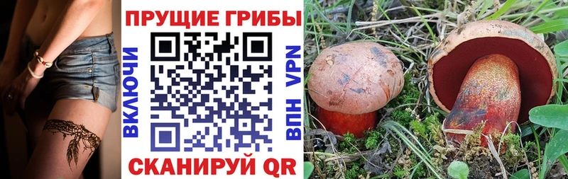 Псилоцибиновые грибы Magic Shrooms  Волжск 